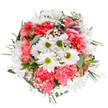 Bringing to mind the freshness of a New Addington spring, this expertly arranged bouquet is a vivid celebration of colour, texture, and local florist artistry. At its heart, radiant white daisies with sparkling lime centers capture the eye, surrounded by layers of ruffled coral-pink carnations that add playful movement and warmth throughout the design. Wisps of cloud-like gypsophila thread delicately among the blooms, infusing the bouquet with both softness and fullness-much like the serene, open spaces found near King Henry's Drive. Slender buds of blush alstroemeria, tinged with purple and rose, offer subtle hints of what's to come, accented by fragrant stems of silvery eucalyptus and lush, dark greens that cradle the bouquet in gentle harmony. Every detail feels intentional and local, perfect for marking a birthday, expressing appreciation, or simply brightening a loved one's day in the heart of New Addington. This striking, joyful arrangement stands as a tribute to the art of local floristry and the spirit of thoughtful, everyday celebration.